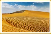 Rajasthan Golden Sand Tour 